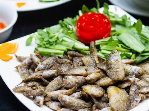 Loại cá xưa đầy ngoài đồng, giờ 'lên đời' thành đặc sản phố thị giá cao vẫn được săn lùng