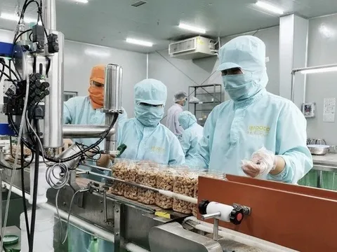 Thủ tướng yêu cầu doanh nghiệp Nhà nước báo cáo kết quả hoạt động 3 quý đầu năm