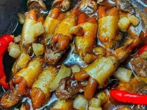Cá da trơn bụng đầy trứng vàng ươm, mỗi năm chỉ có một mùa, giá cao ngất vẫn được săn lùng