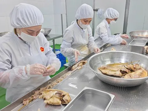 Tháo điểm nghẽn chính sách để doanh nghiệp cất cánh