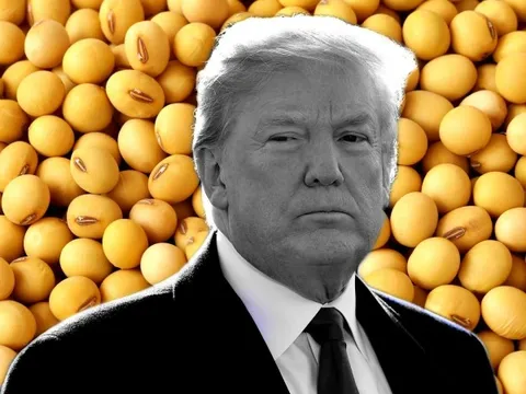 Động thái mới nhất của ông Trump khi Trung Quốc 'bom hàng' đậu nành