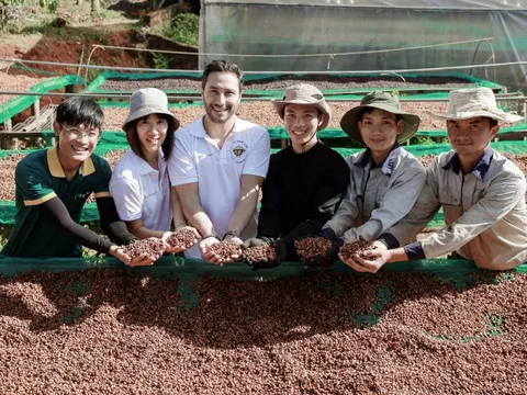 Giá cà phê lên đỉnh, trả công 1 triệu/ngày vẫn thiếu người hái