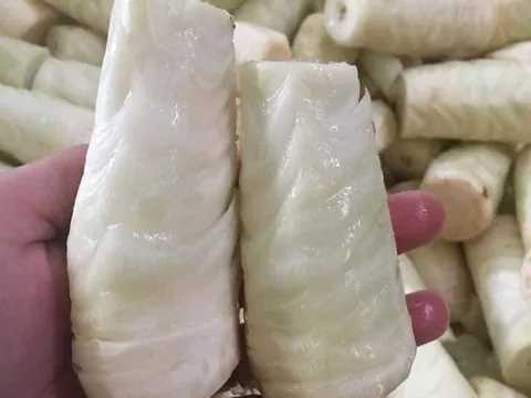 Từ phần gốc tưởng bỏ đi, nay thành đặc sản lạ miệng dân thành phố săn lùng giá 75.000 đồng/kg