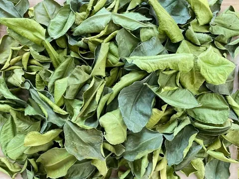 Loại lá rẻ như cho của Việt Nam, chỉ dùng làm gia vị khi ăn thịt gà: Nay là mặt hàng đắt đỏ khi 'xuất ngoại', mang về hơn 700.000 USD, giá bán hơn 6 triệu đồng/kg