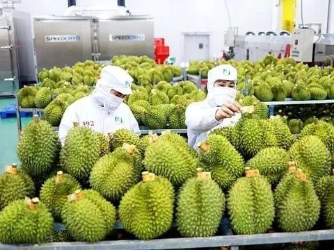 Trung Quốc ra quy định mới về nhập khẩu nông sản, doanh nghiệp Việt cần chú ý