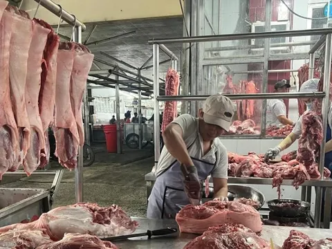 Loạn giá thịt lợn