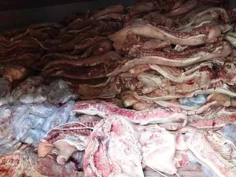 Bất chấp vì lợi nhuận, chủ lò mổ găm 38 tấn thịt nhiễm dịch tả lợn châu Phi chờ bán