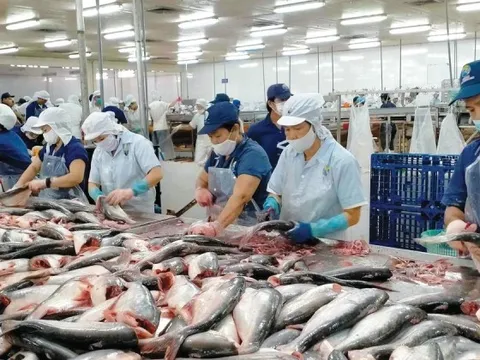 Báo cáo Thủ tướng 'hàng rào' thuế gây khó doanh nghiệp