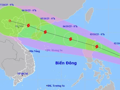 Sẵn sàng lực lượng, phương tiện tại nơi xung yếu trước bão số 11