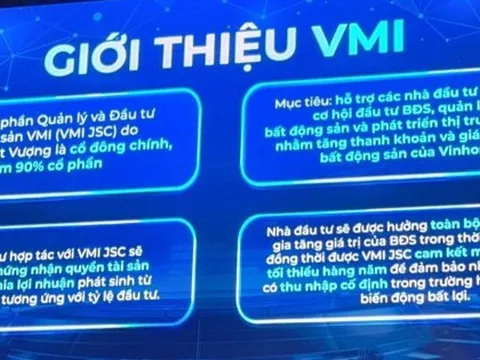 Tỷ phú Phạm Nhật Vượng sáp nhập Bất động sản Hưng Long vào VinSpeed