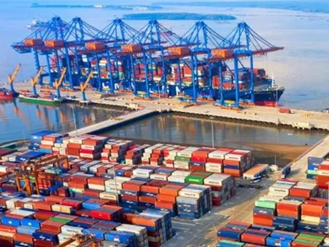 Cổ phiếu công ty sở hữu đội tàu container lớn nhất Việt Nam bất ngờ tăng "dựng đứng" trước thềm họp ĐHCĐ bất thường