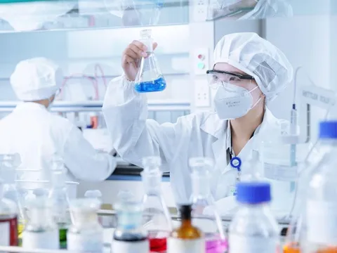 Doanh thu thuần Imexpharm đạt 1.800 tỷ đồng, tăng 16% trong 9 tháng đầu 2025