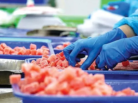 'Siêu thực phẩm' của Việt Nam vừa mang về 705 triệu USD: Mỹ, châu Âu mê mẩn, Thái Lan bất ngờ thành điểm sáng mới