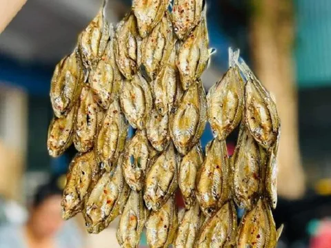 Loại cá tên lạ xưa có đầy không ai biết, nay hóa đặc sản đắt đỏ, dân thành phố săn lùng 300.000 đồng/kg