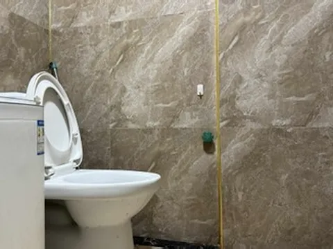 Người vợ nằng nặc xách vali rời khỏi nhà chồng vì cái bồn cầu bẩn