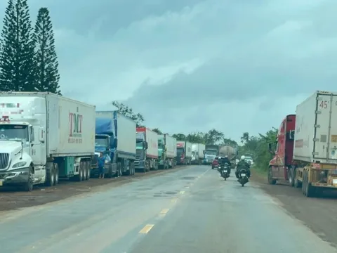 Gần 2.000 container sầu riêng ùn ứ, Hiệp hội Sầu riêng Đắk Lắk kêu cứu Thủ tướng