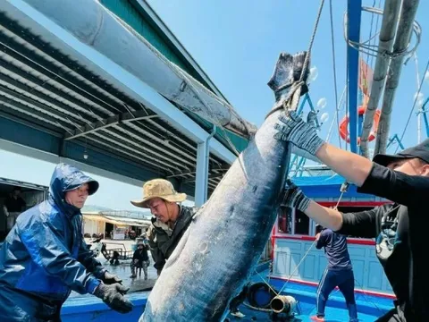 Gỡ thẻ vàng thủy sản: 'Chúng ta không còn chỗ cho sai sót'