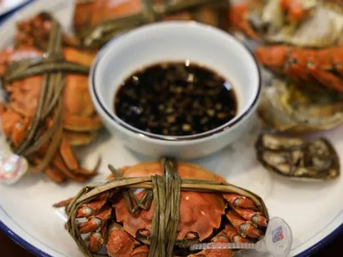 'Vàng ròng dưới đáy hồ' đang tan chảy: Loài động vật quý hiếm của Trung Quốc đang 'kiệt sức' trong mùa hè nóng nhất 64 năm