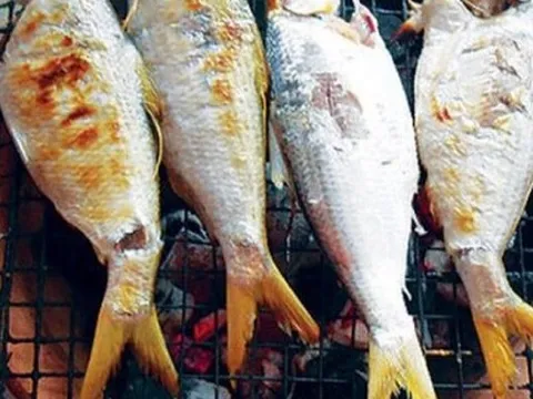 Loài cá được mệnh danh 'vua cá sông Hậu': Quý hiếm, có tiền cũng khó mua