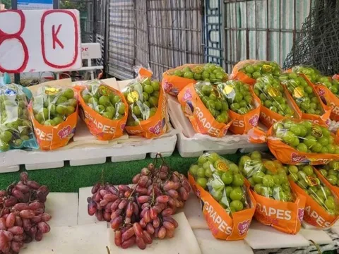 'Nho Mỹ 79.000 đồng/kg': Cơn lốc trái cây ngoại giá rẻ đang cuốn người tiêu dùng vào mê trận