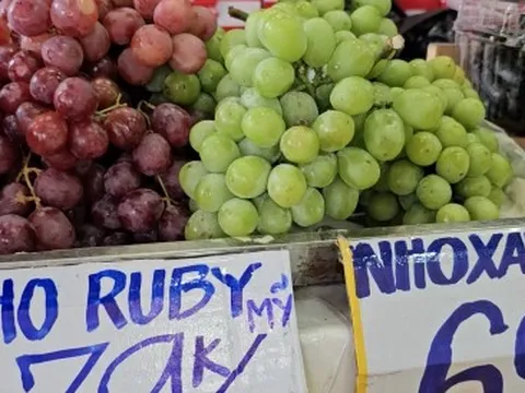 Trái cây nhập ngoại giá rẻ bày bán tràn lan