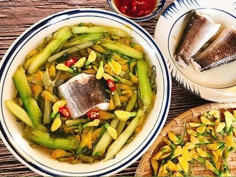 Từng là món 'cứu đói' của người nghèo, loại rau này nay thành đặc sản trăm nghìn đồng/kg, được nhà hàng săn lùng