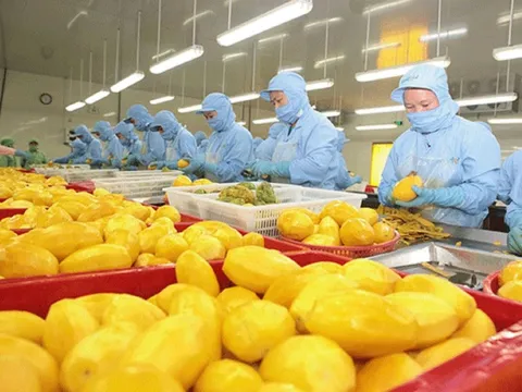 Kim ngạch xuất khẩu tăng nóng gần 40%, một mặt hàng của Việt Nam khiến Trung Quốc sẵn sàng chi tỷ đô