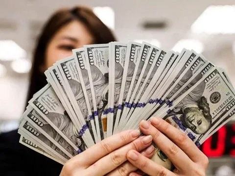 Tỷ giá USD hôm nay 4/11: Ngân hàng tăng giá, thị trường tự do giảm