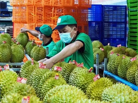 Mặt hàng giúp Việt Nam thu về hơn 58 tỷ USD trong 10 tháng: Cà phê tăng giá kỷ lục, rau quả 'hốt bạc' từ Trung Quốc