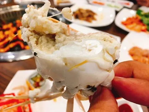 'Kho báu dưới nước' giúp Việt Nam bỏ túi gần 58 triệu USD, Mỹ - Pháp - Úc 'mê mẩn' săn lùng