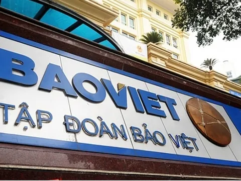 Bảo Việt dự chi hơn 780 tỷ đồng trả cổ tức, Bộ Tài chính thu về 500 tỷ đồng