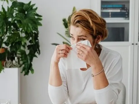 Cố che giấu lỗi lầm bằng một đám cưới giả, tôi đánh mất cả gia đình