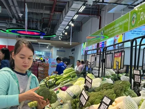Sản lượng rau củ về TPHCM giảm mạnh: Giá tăng chóng mặt