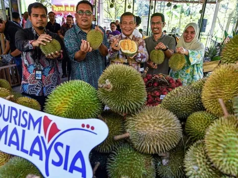 Malaysia cân nhắc đưa sầu riêng trở thành 'quốc quả', đề nghị chọn 7-7 là Ngày Sầu riêng Quốc gia