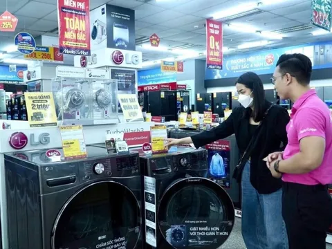 Một mặt hàng bán chạy 'như tôm tươi' tại Hà Nội những ngày qua, giá từ vài trăm đến mấy chục triệu đều được săn đón