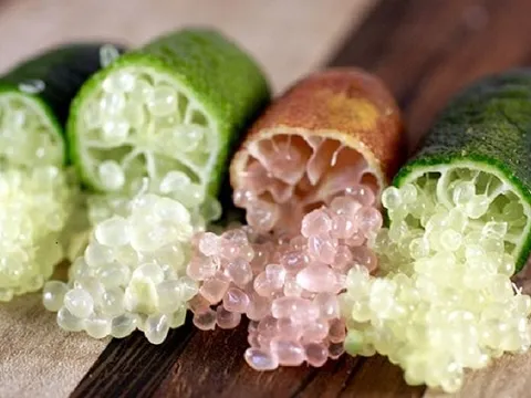 Loại quả 'sang chảnh' từng giá hàng triệu đồng/kg, giờ đã được trồng tại Việt Nam giá 600.000 đồng/kg