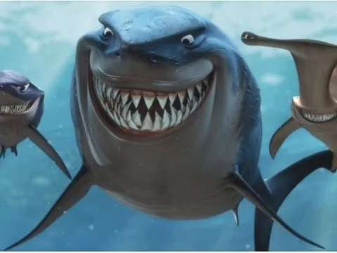 SGI Capital: Margin cao, áp lực tỷ giá và nền định giá không rẻ là những rủi ro tiềm ẩn