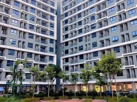 Siết chặt vi phạm nhà ở xã hội, đề xuất phạt đến 300 triệu đồng