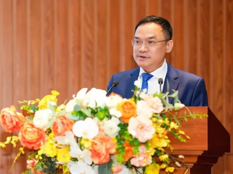 Bổ nhiệm ông Đoàn Mạnh Tú giữ chức Phó Tổng Giám đốc Bảo hiểm tiền gửi Việt Nam