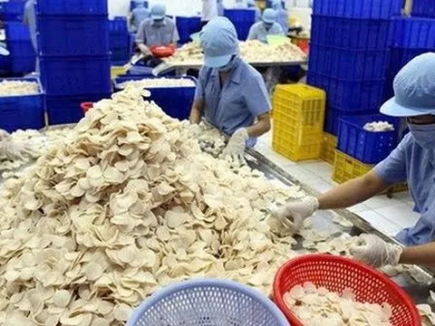 Công ty con của Vĩnh Hoàn muốn huy động gần 465 tỷ đồng để làm gì?