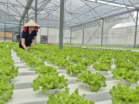 Tháo điểm nghẽn cho nông sản sạch TP HCM