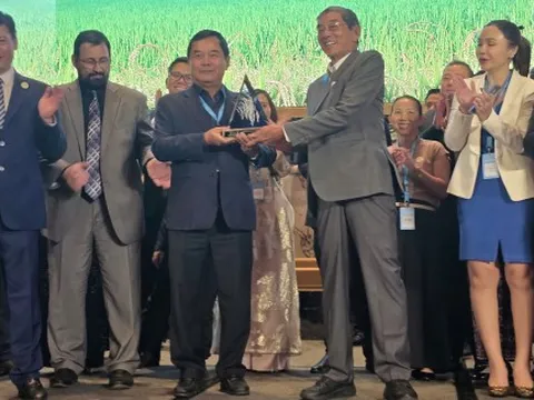 Gạo ST25 lần thứ 3 được vinh danh ‘Gạo ngon nhất thế giới’