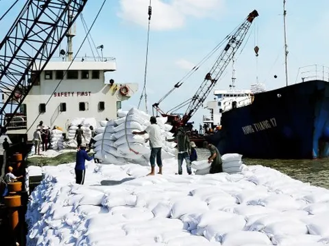 Philippines cấm nhập khẩu gạo đến hết năm, doanh nghiệp Việt không quá lo ngại