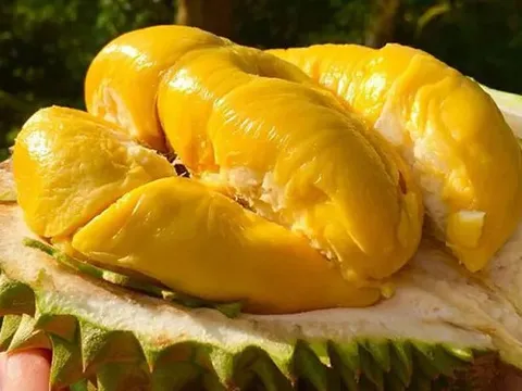 Một mặt hàng 'vàng' của Việt Nam bứt phá ngoạn mục tại Trung Quốc