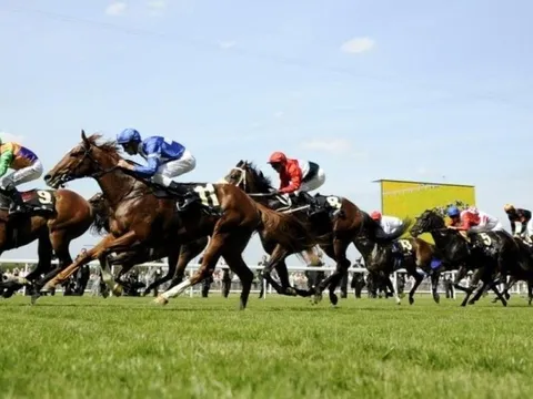 Loạt yếu tố hỗ trợ, chứng khoán Việt Nam còn nhiều dư địa tăng trưởng