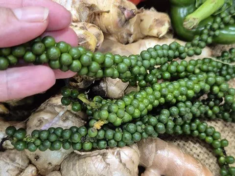 Mỹ chính thức miễn thuế đối ứng với cà phê, tiêu