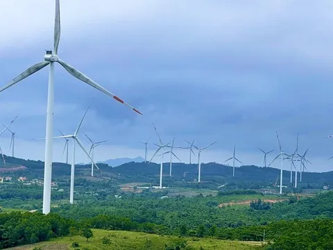 Điện gió Quảng Trị cắt giảm công suất, hướng đi nào cho phát triển năng lượng tái tạo bền vững?