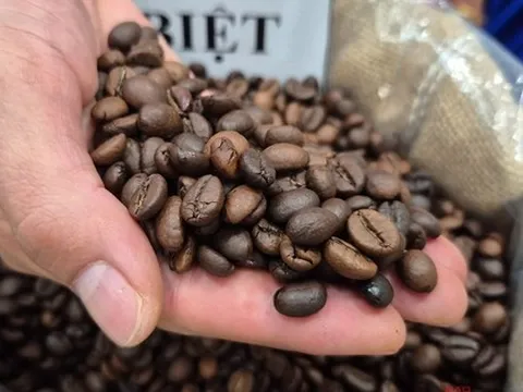 Giá cà phê hôm nay 16-11: Tuần buồn của giá cà phê