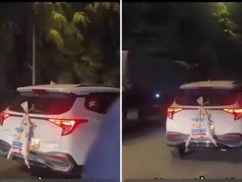 'Đôi vịt tiền triệu' trên đường