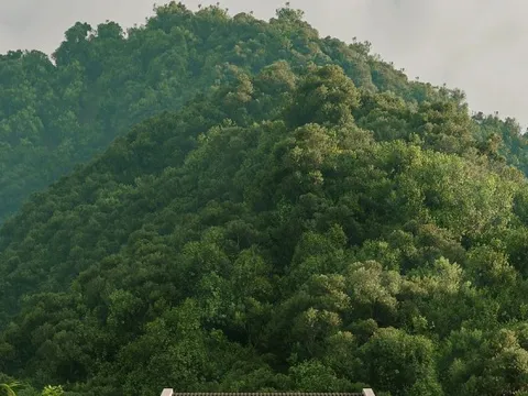 Ngôi nhà thiết kế đậm phong cách truyền thống miền Bắc